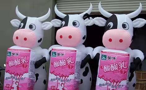 永州牛奶厂广告气模